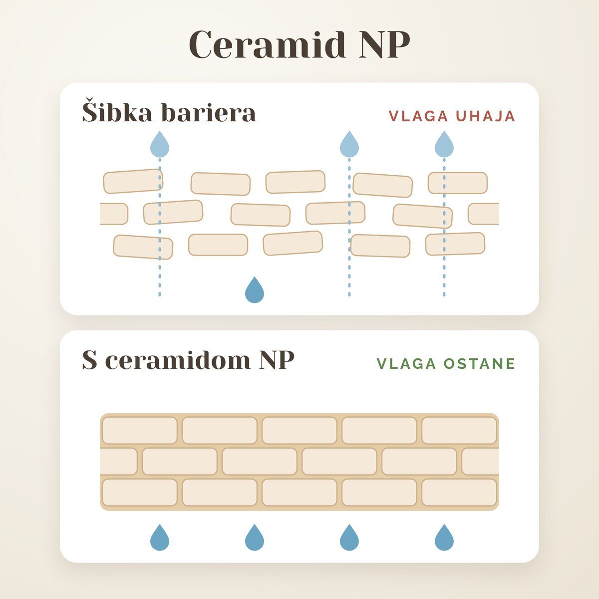Ceramid NP poveže kožne celice v močno bariero, ki vlago zadrži v koži