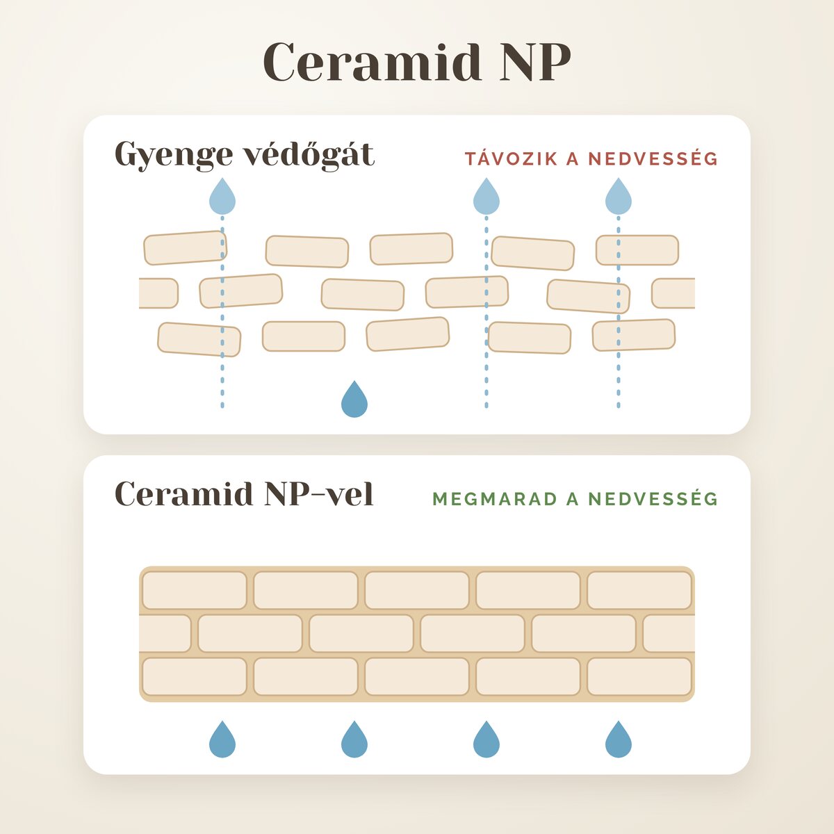 A ceramid NP erős védőgáttá kapcsolja össze a bőrsejteket, amely a bőrben tartja a nedvességet