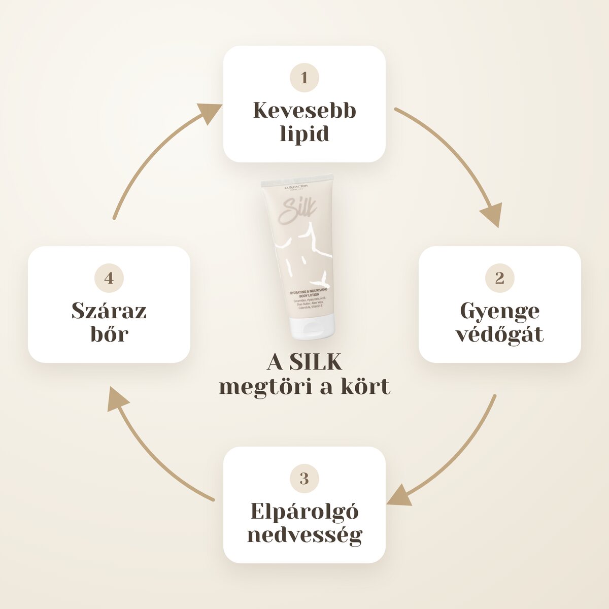 A száraz bőr ördögi köre: kevesebb lipid, gyenge védőgát, párolgó nedvesség és száraz bőr – a Lux-Factor SILK megtöri